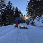 In Zillertal Near Slopes Apartment *
