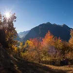 In Zillertal Near Slopes *