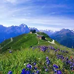 In Zillertal Near Slopes
