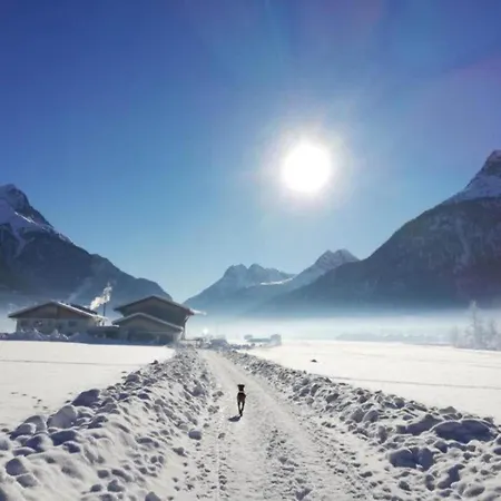 In Zillertal Near Slopes Appartement