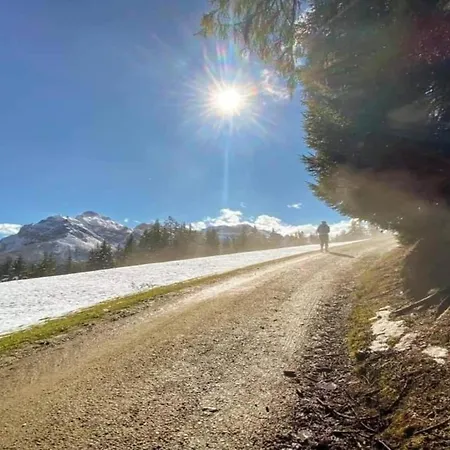 In Zillertal Near Slopes Apartment Zell am Ziller