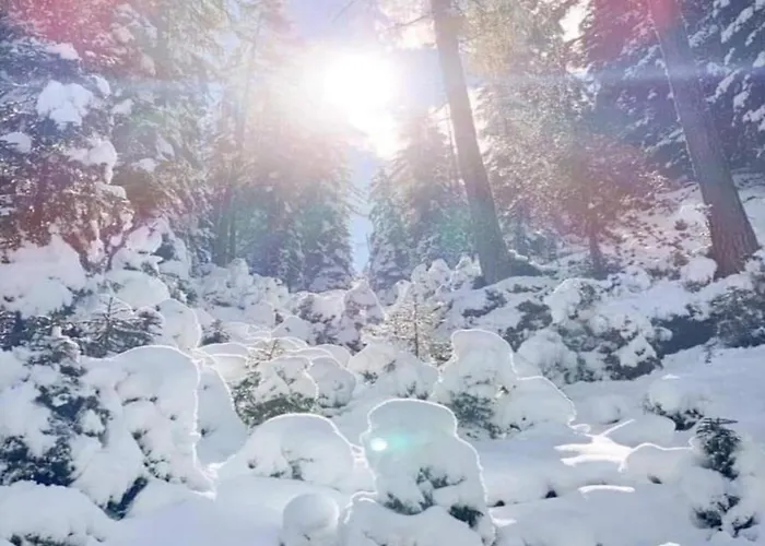 In Zillertal Near Slopes Apartment *