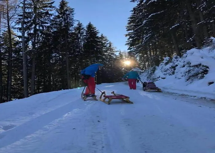 In Zillertal Near Slopes Apartment *