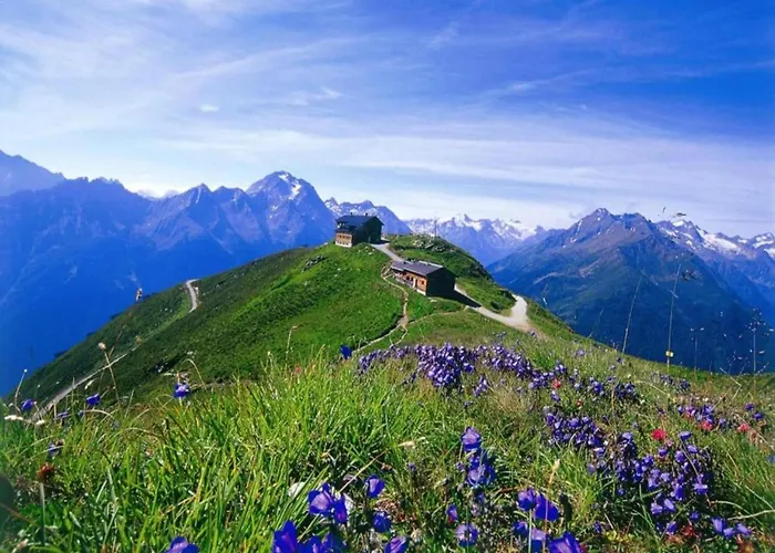 In Zillertal Near Slopes