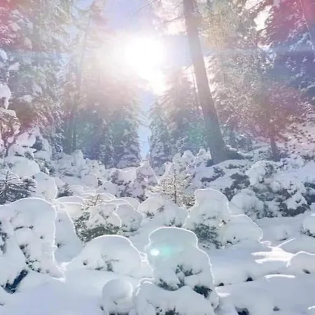 In Zillertal Near Slopes דירה *