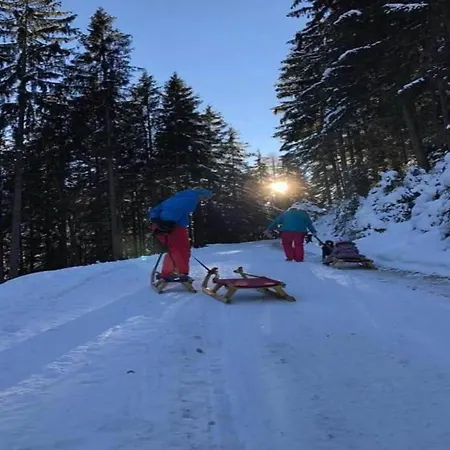 In Zillertal Near Slopes דירה *