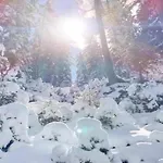 In Zillertal Near Slopes 아파트 *
